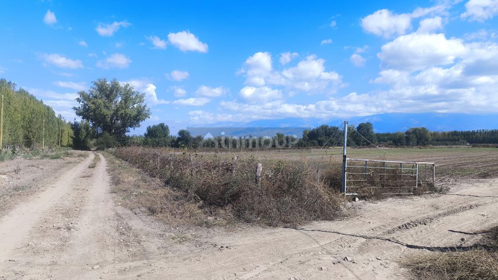 Lote en Venta en Tunuyan, Mendoza