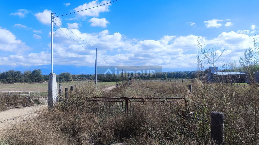 Lote en Venta en Tunuyan, Mendoza