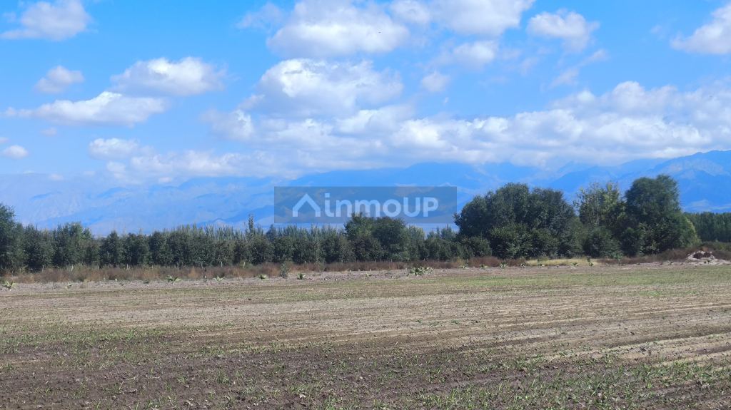 Lote en Venta en Tunuyan, Mendoza