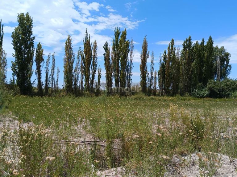 Lote en Venta en Maipu, Mendoza