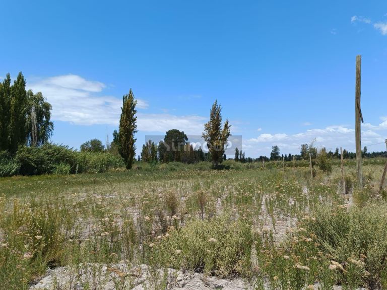 Lote en Venta en Maipu, Mendoza