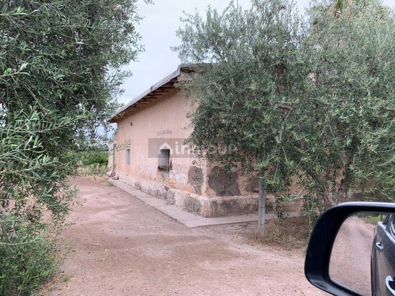 Finca en Venta en Junin, Mendoza