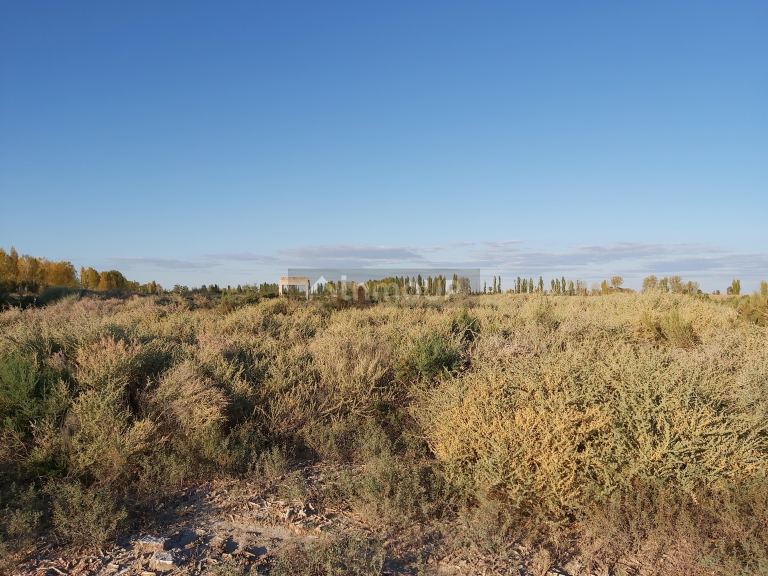 Finca en Venta en Lavalle, Mendoza