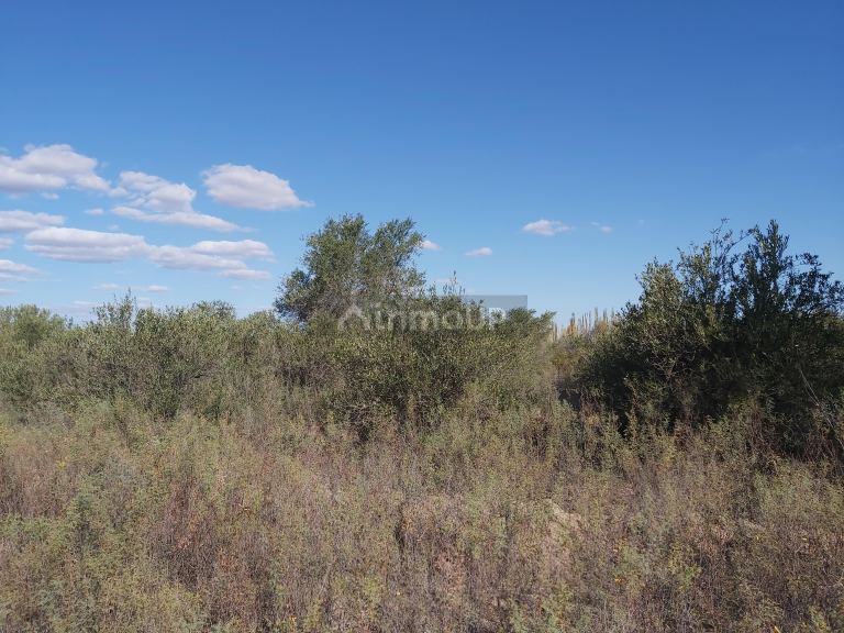 Finca en Venta en Lavalle, Mendoza
