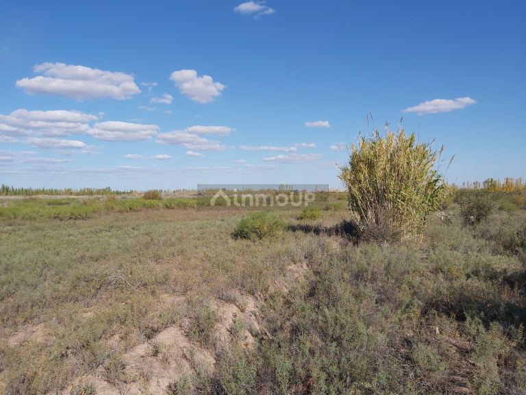 Finca en Venta en Lavalle, Mendoza