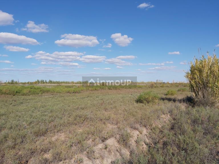 Finca en Venta en Lavalle, Mendoza
