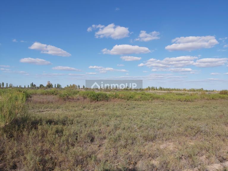 Finca en Venta en Lavalle, Mendoza