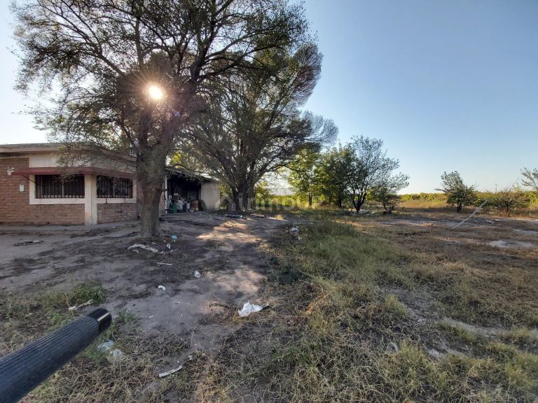 Finca en Venta en San Martin, Mendoza