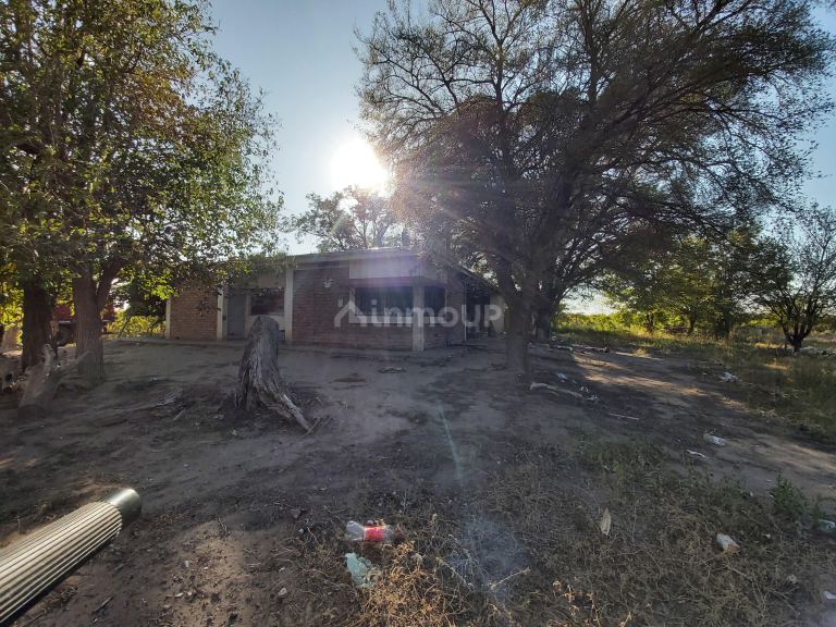 Finca en Venta en San Martin, Mendoza