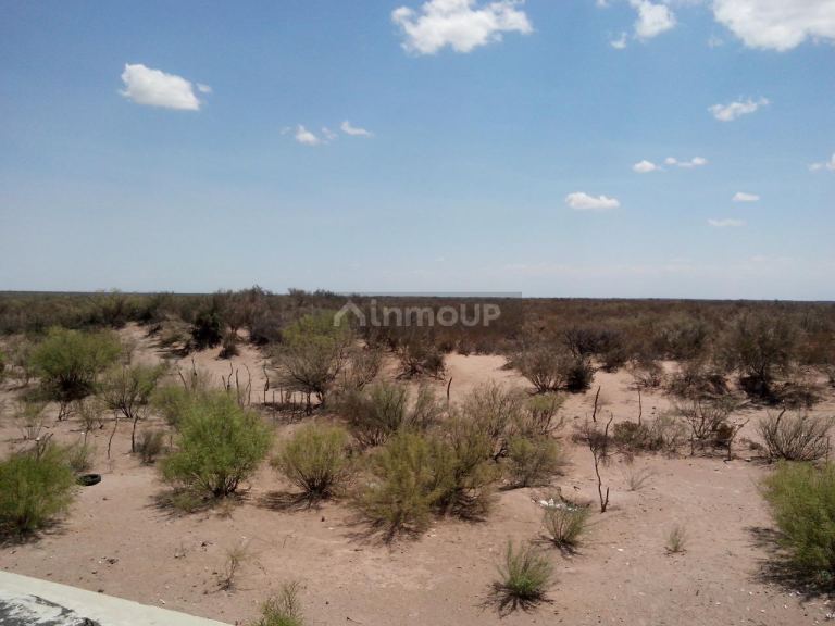 Finca en Venta en Santa Rosa, Mendoza