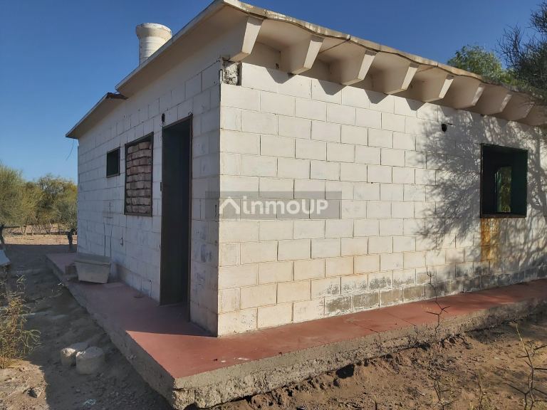 Finca en Venta en Santa Rosa, Mendoza