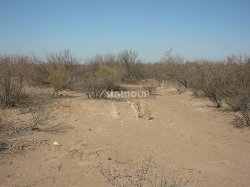 Finca en Venta en Santa Rosa, Mendoza