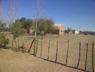 Finca en Venta en Santa Rosa, Mendoza