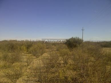 Finca en Venta en Santa Rosa, Mendoza