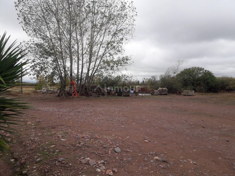 Finca en Venta en Tunuyan, Mendoza