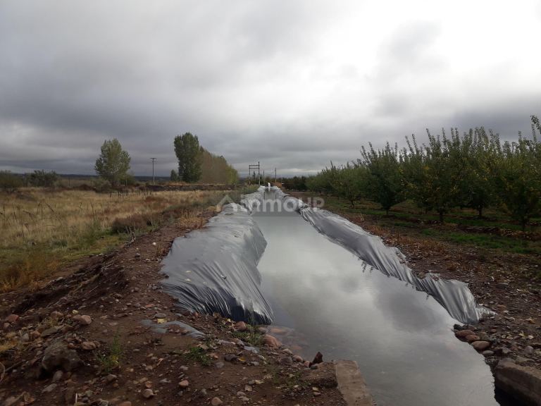 Finca en Venta en Tunuyan, Mendoza