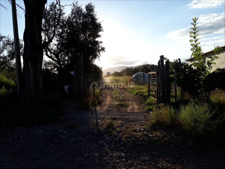 Lote en Venta en Lujan de Cuyo, Mendoza