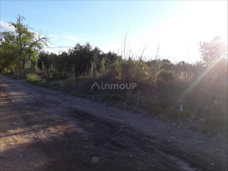 Lote en Venta en Lujan de Cuyo, Mendoza
