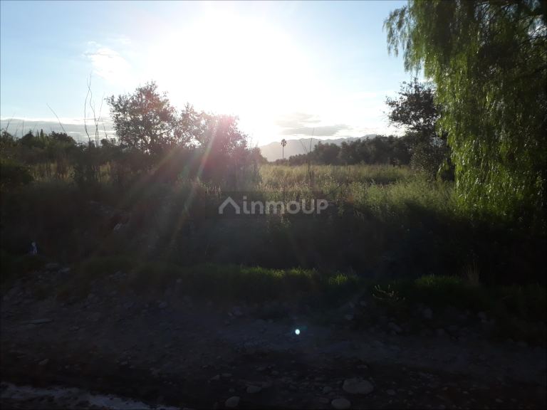 Lote en Venta en Lujan de Cuyo, Mendoza