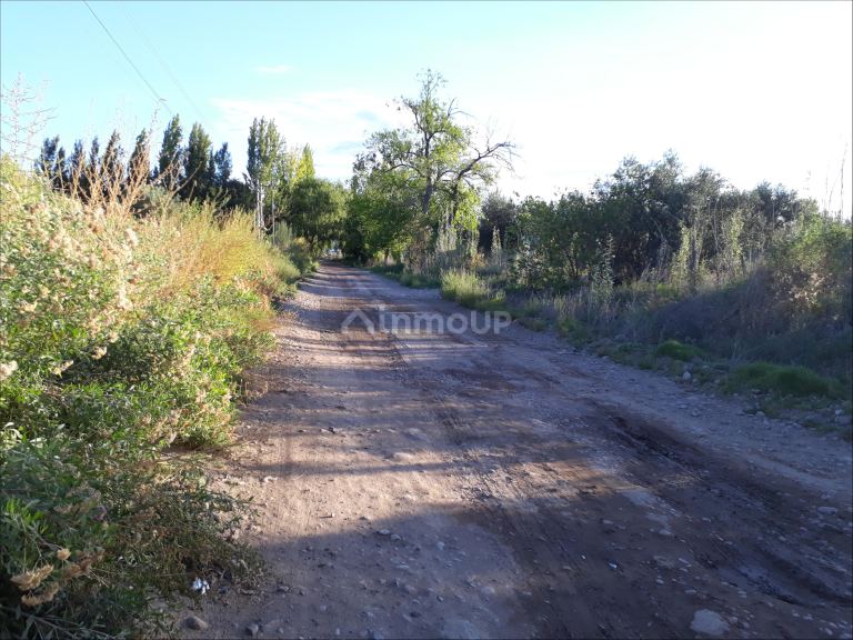 Lote en Venta en Lujan de Cuyo, Mendoza