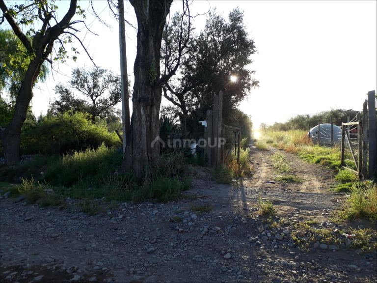 Lote en Venta en Lujan de Cuyo, Mendoza
