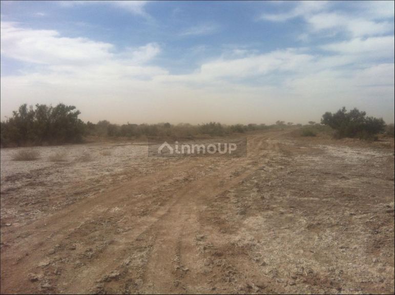 Finca en Venta en Lavalle, Mendoza
