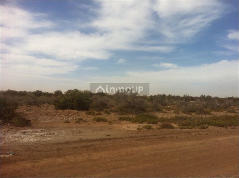 Finca en Venta en Lavalle, Mendoza