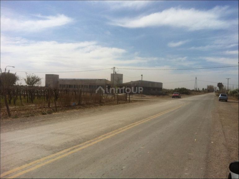 Finca en Venta en Lavalle, Mendoza