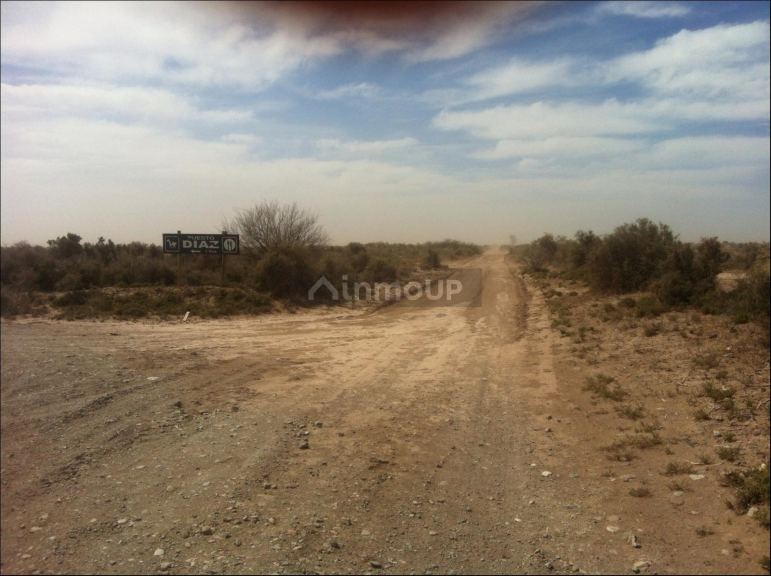 Finca en Venta en Lavalle, Mendoza