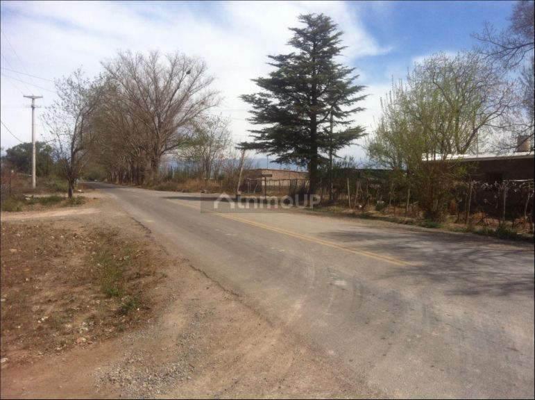 Finca en Venta en Lavalle, Mendoza