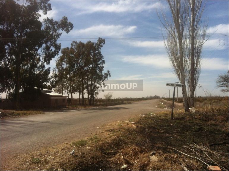 Finca en Venta en Lavalle, Mendoza