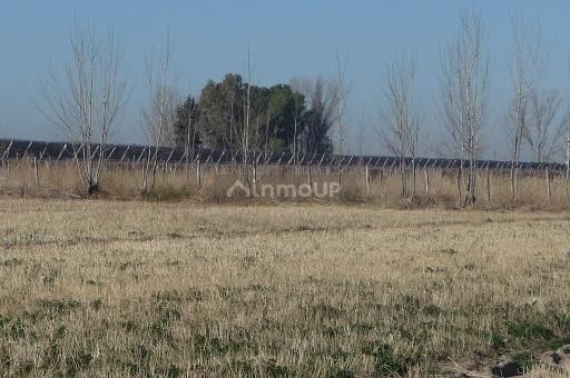 Industria en Venta en San Martin, Mendoza