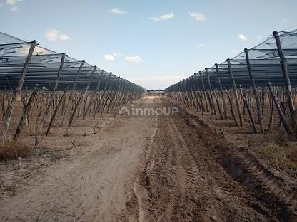 Industria en Venta en San Martin, Mendoza