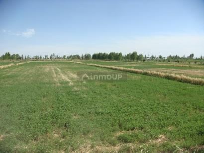 Industria en Venta en San Martin, Mendoza