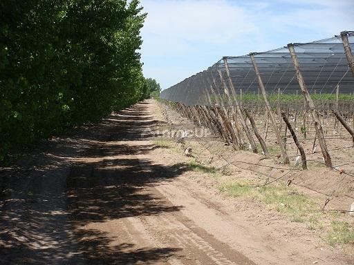 Industria en Venta en San Martin, Mendoza