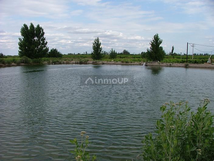 Industria en Venta en San Martin, Mendoza