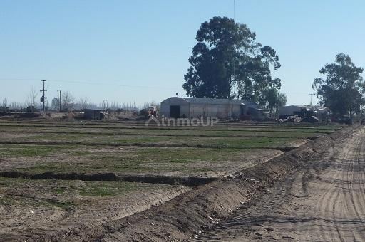 Industria en Venta en San Martin, Mendoza
