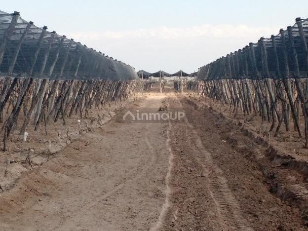 Industria en Venta en San Martin, Mendoza