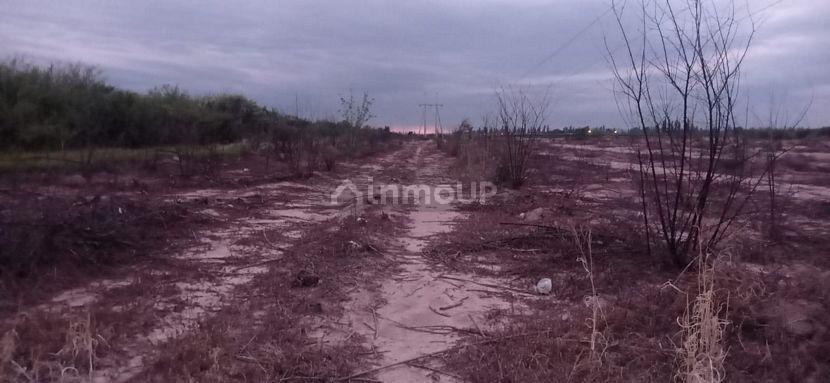 Terreno en Venta en Maipu, Mendoza