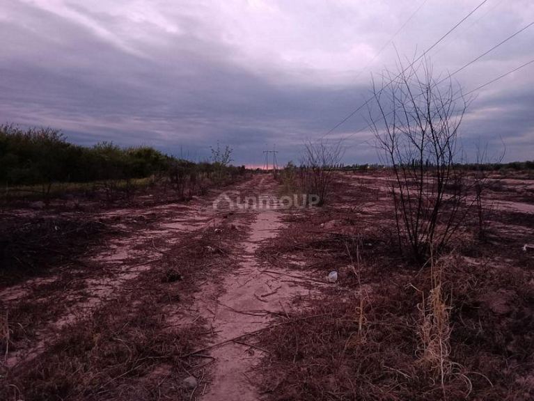 Terreno en Venta en Maipu, Mendoza
