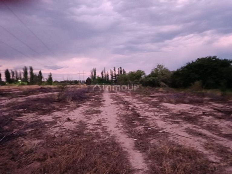 Terreno en Venta en Maipu, Mendoza