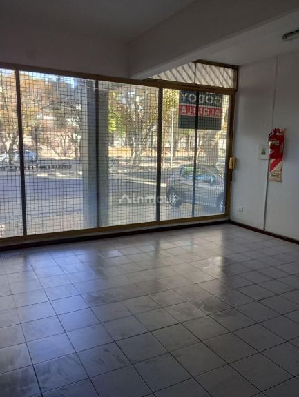 Local Comercial en Alquiler en Capital, Mendoza