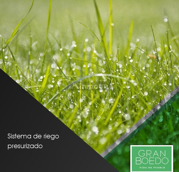 Lote en Venta en Lujan de Cuyo, Mendoza