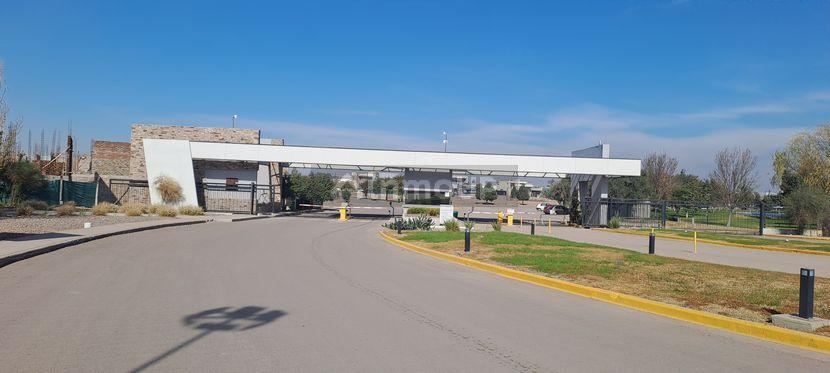 Maipu  Isidro Maza 481