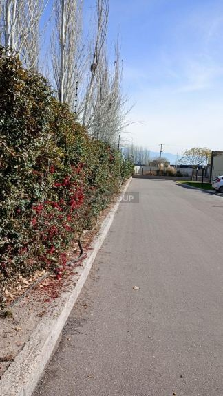 Lote en Venta en Maipu, Mendoza