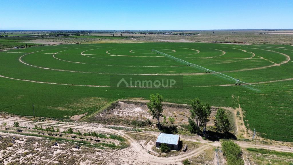 Finca en Venta en Santa Rosa, Mendoza