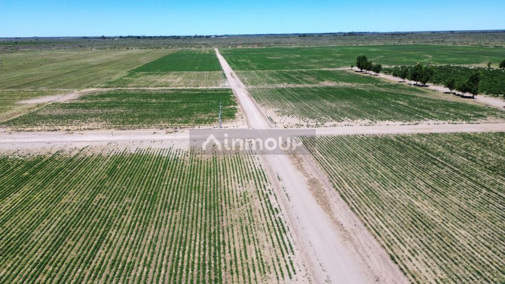 Finca en Venta en Santa Rosa, Mendoza