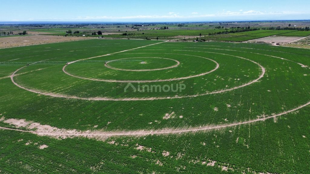 Finca en Venta en Santa Rosa, Mendoza