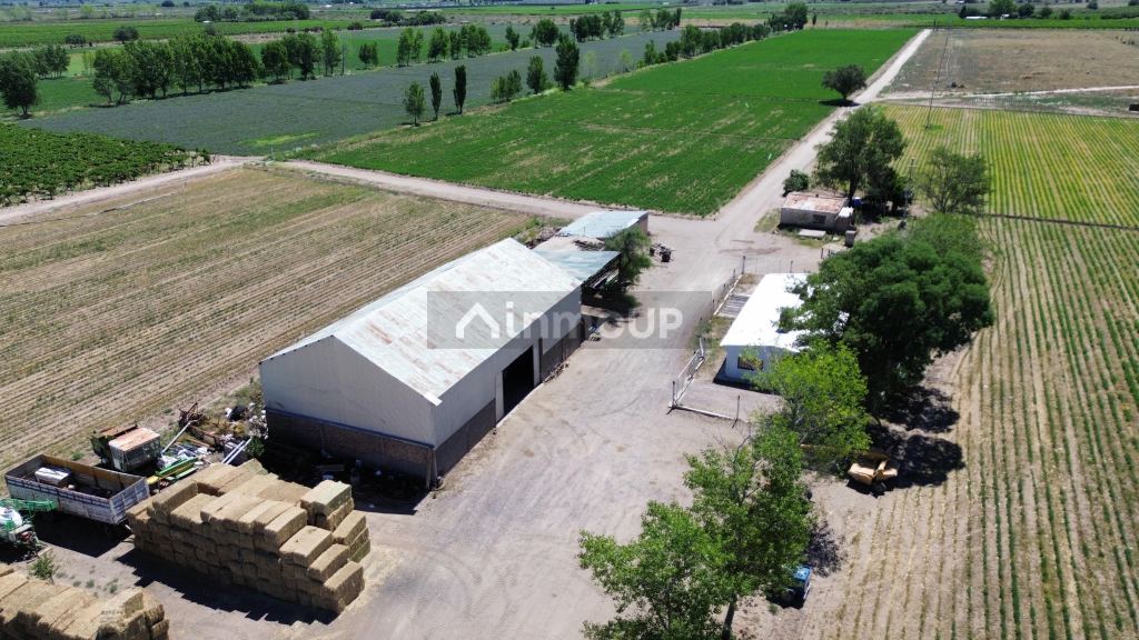 Finca en Venta en Santa Rosa, Mendoza
