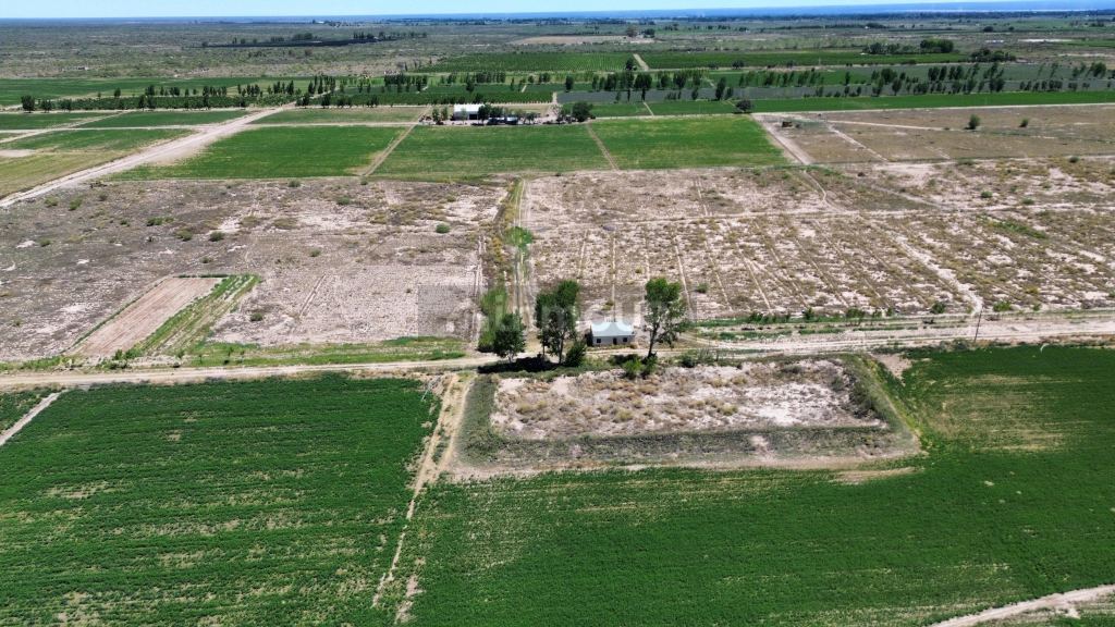 Finca en Venta en Santa Rosa, Mendoza